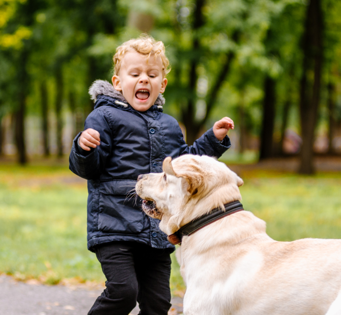 Dog Biting A Child, Causing Injury